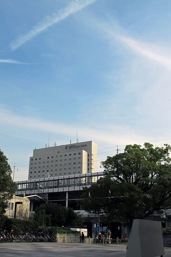 爽やかな秋【空】