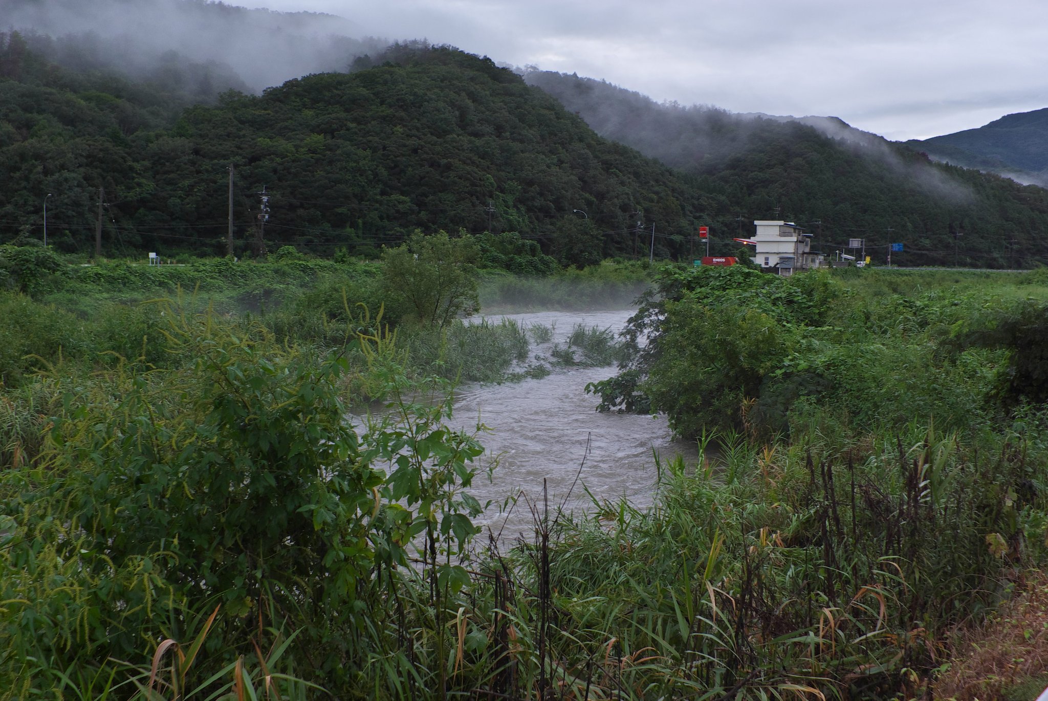 台風一過の蒲生川