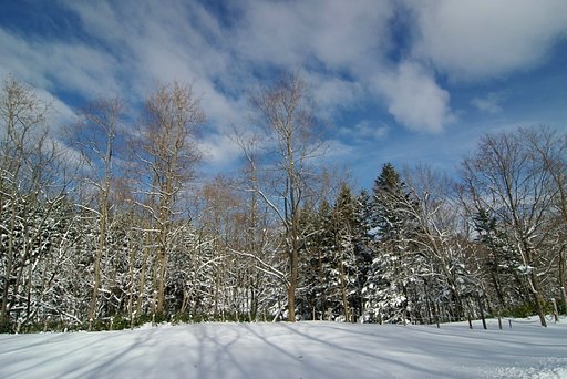 吹雪のあとに
