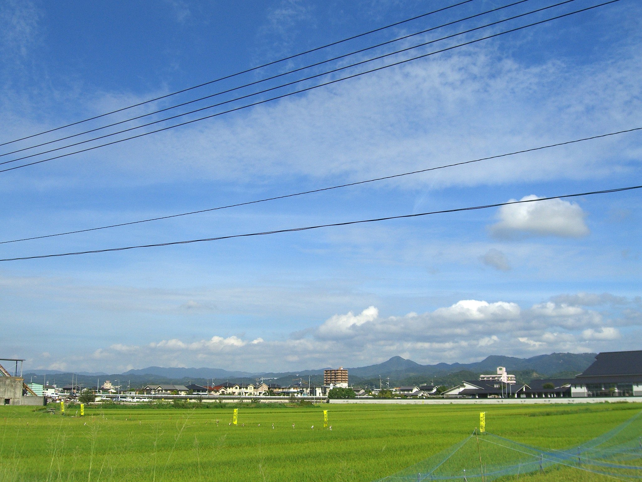 電線も