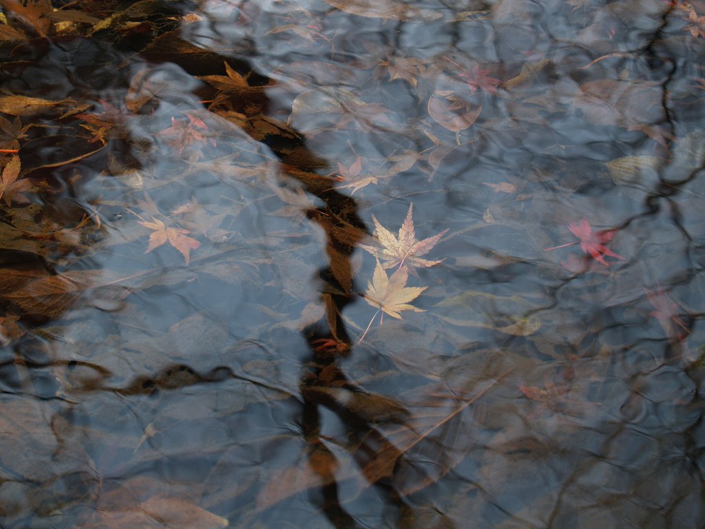 郷愁