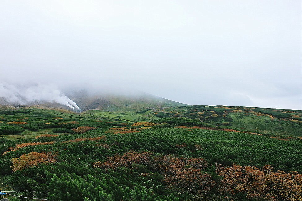 紅葉（大雪山系旭岳）
