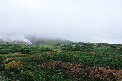 紅葉（大雪山系旭岳）