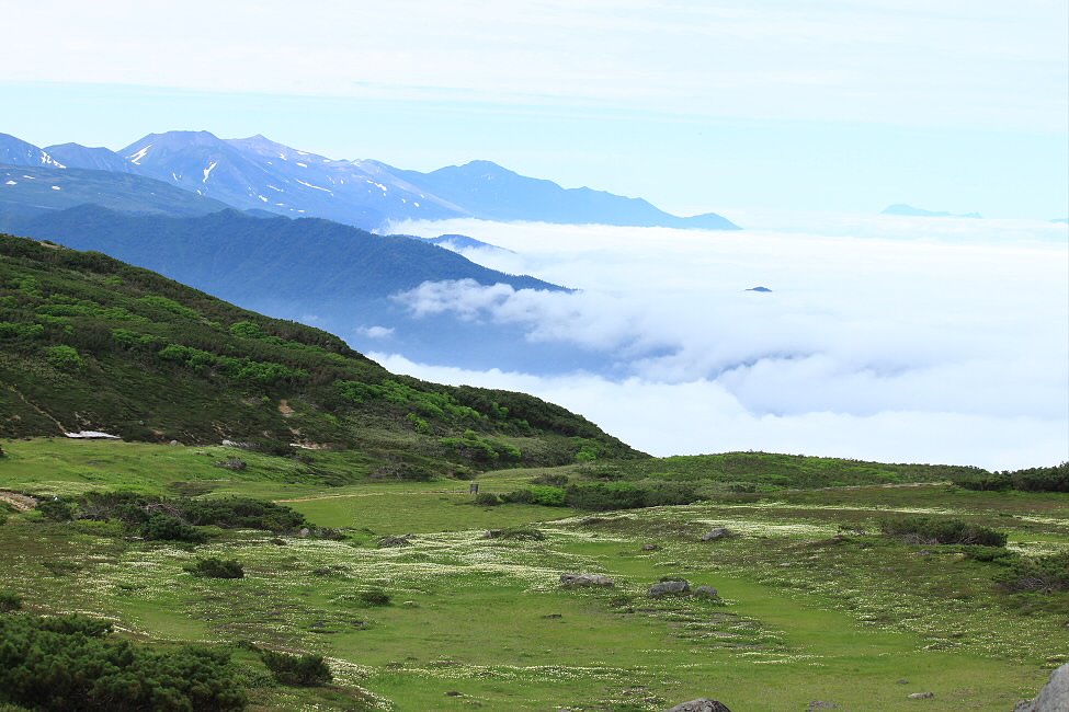 十勝岳＆雲海