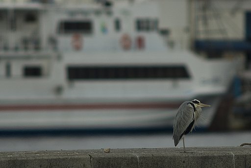 瀬戸の内海