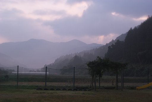昨日から黄砂です。
