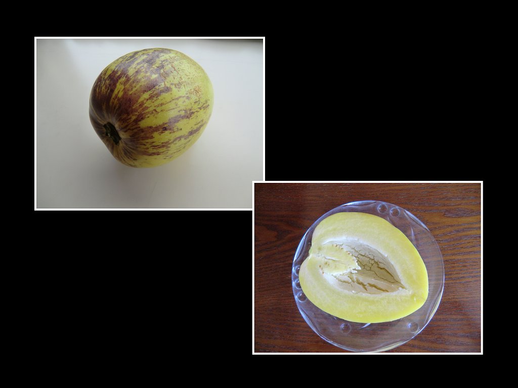 ペピーノ(沖縄の果物）