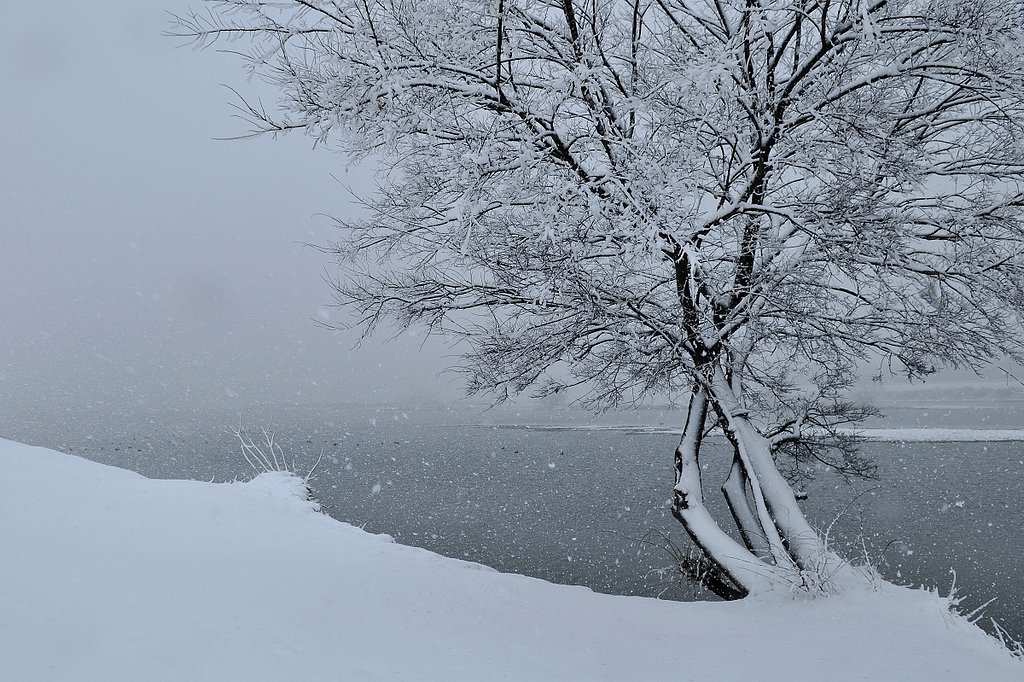 雪の川