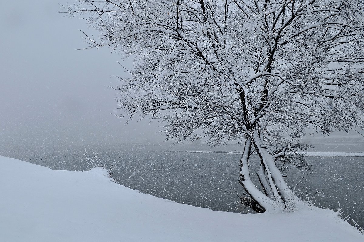 雪の川