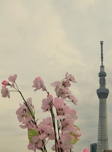 隅田川の風景