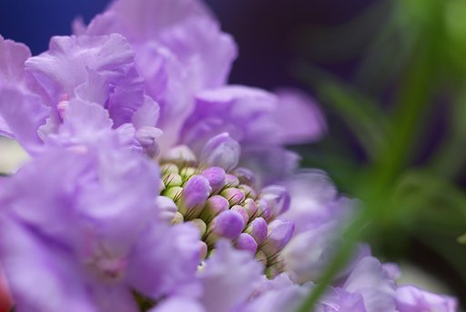 春の予感−３