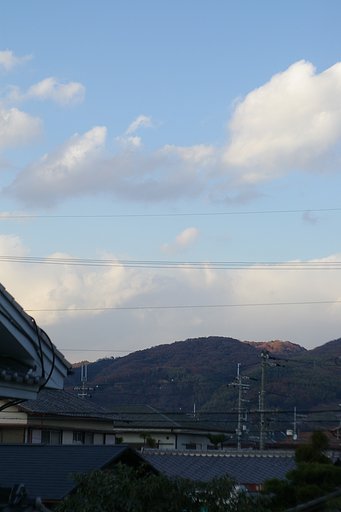 Takumar Blue