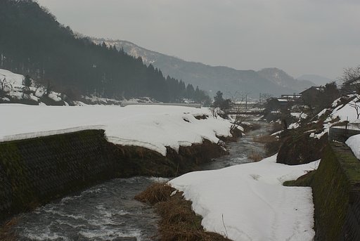今朝も深い霧が立ち込めています。