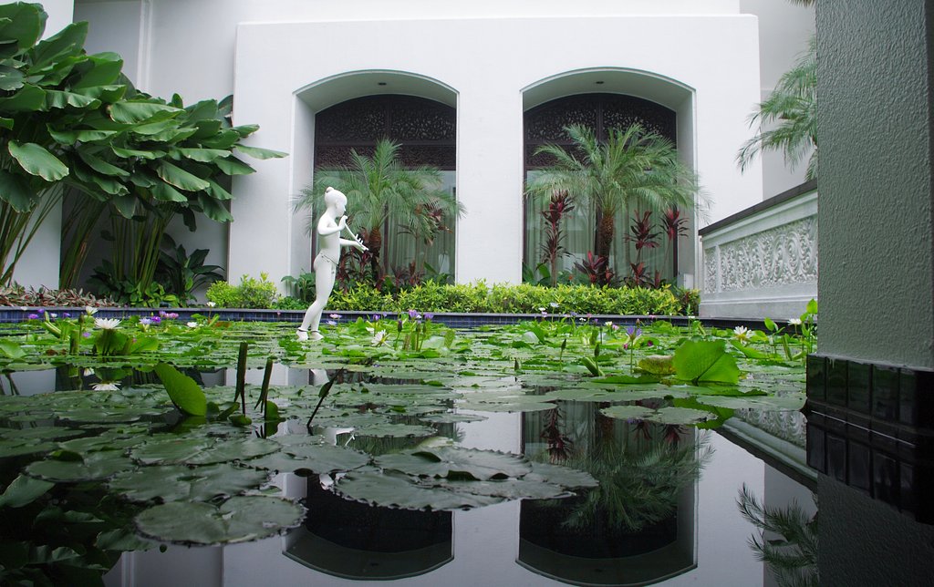 妖精が遊ぶ池