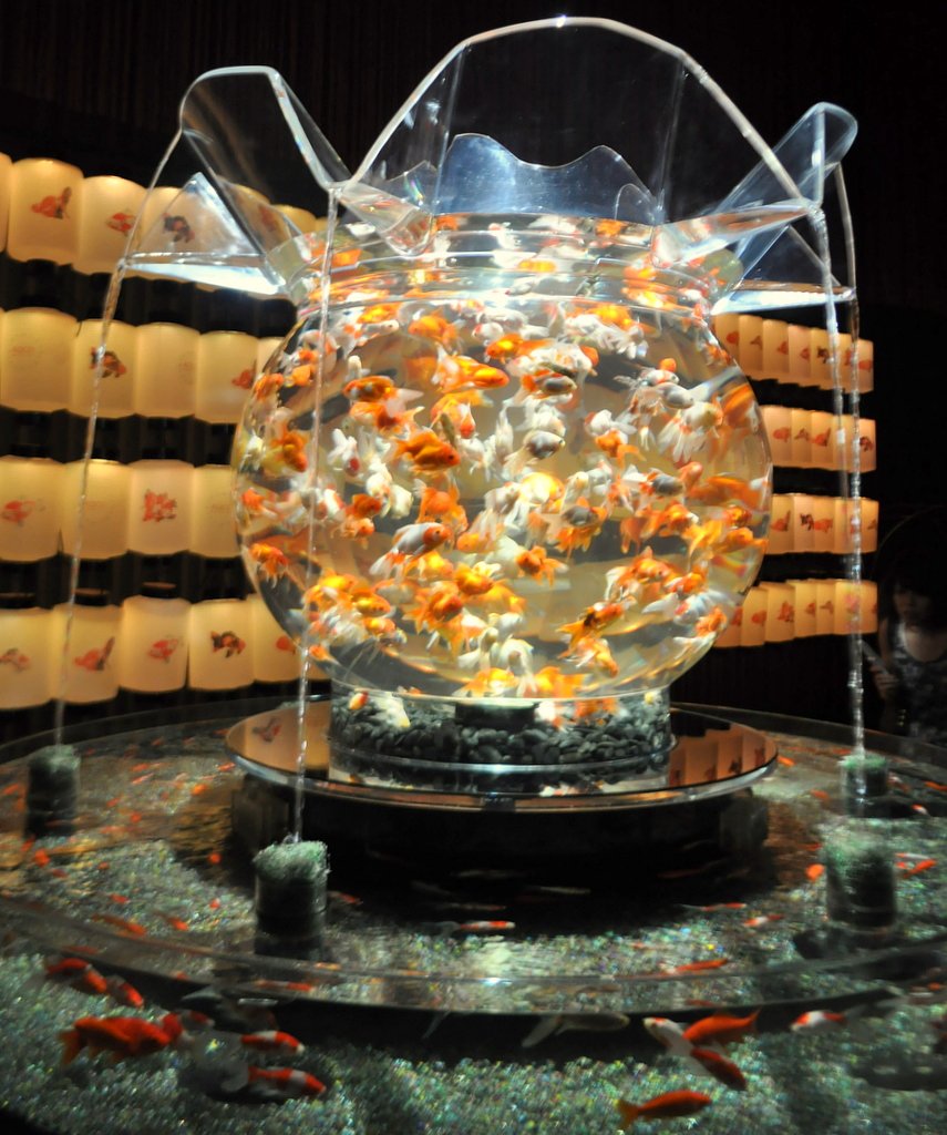 金魚鉢