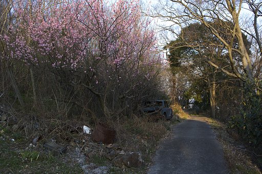 瀬戸の内海