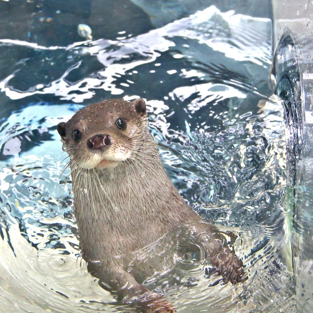気持ちいいよ！