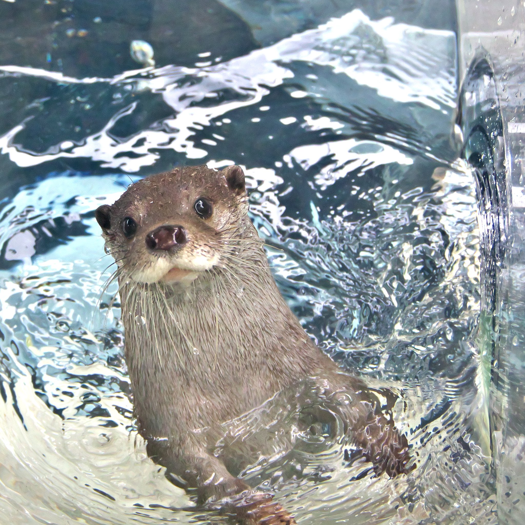 気持ちいいよ！