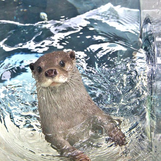気持ちいいよ！
