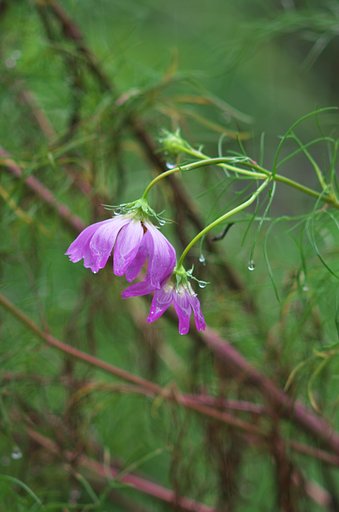 15号の風雨のながで・・