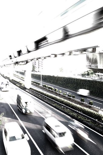 地面も【空】も人はみんな動きすぎで見ているだけでボクは疲れる