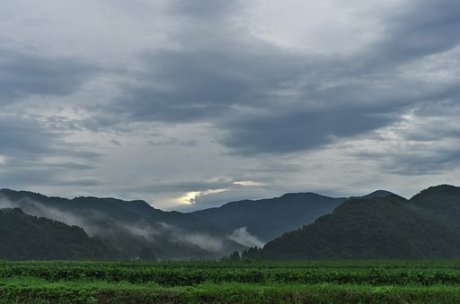 今朝の空