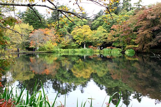 軽井沢　雲場池