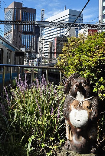 有楽町駅の狸