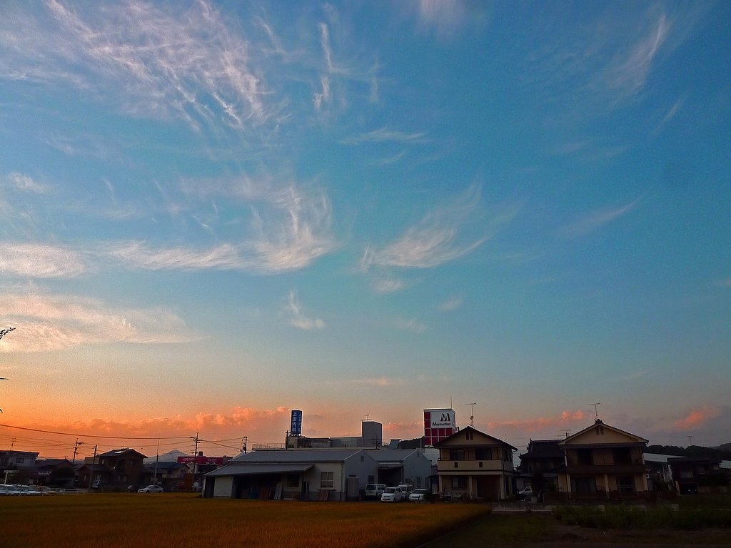 定点夕暮れ