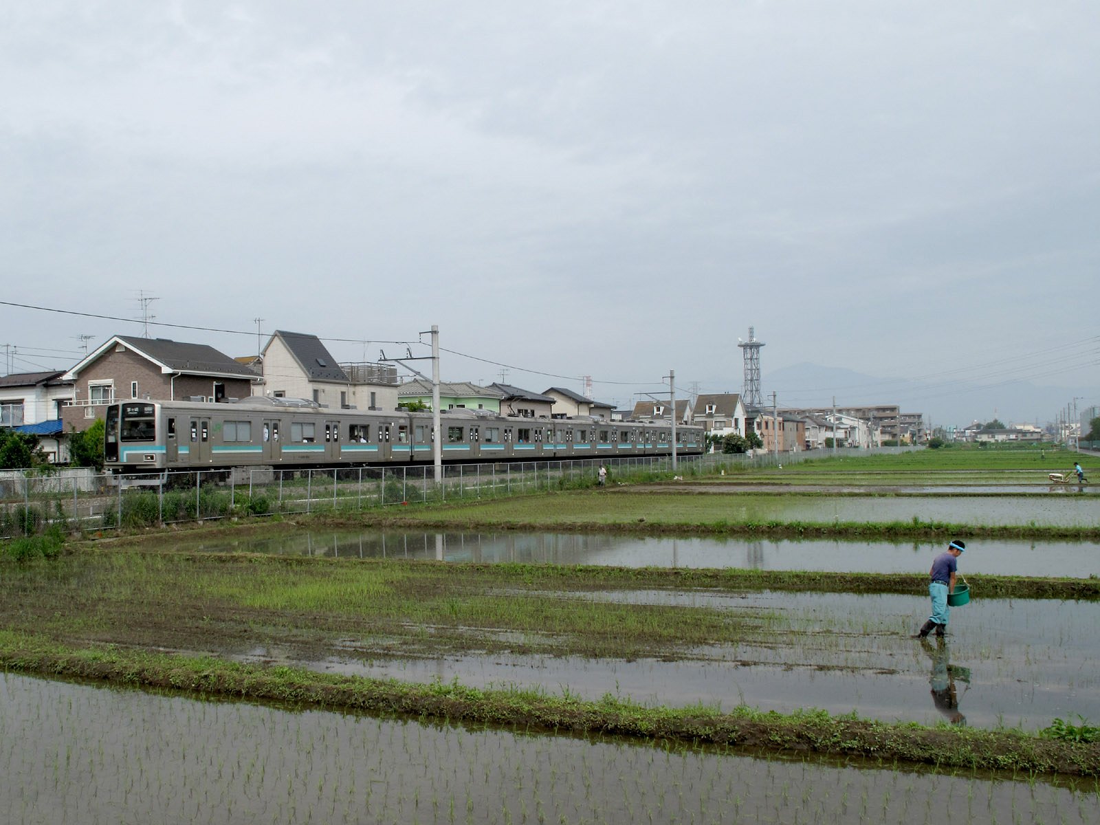 田んぼと鉄道