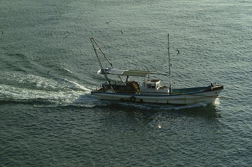 瀬戸の内海