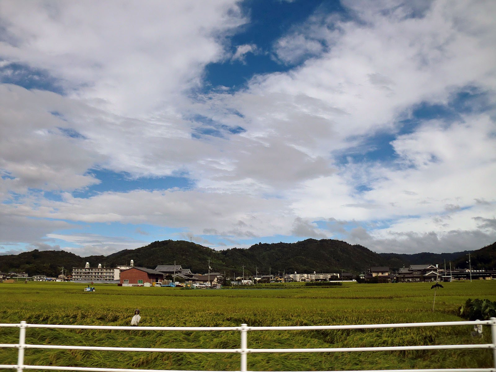 嵐の後