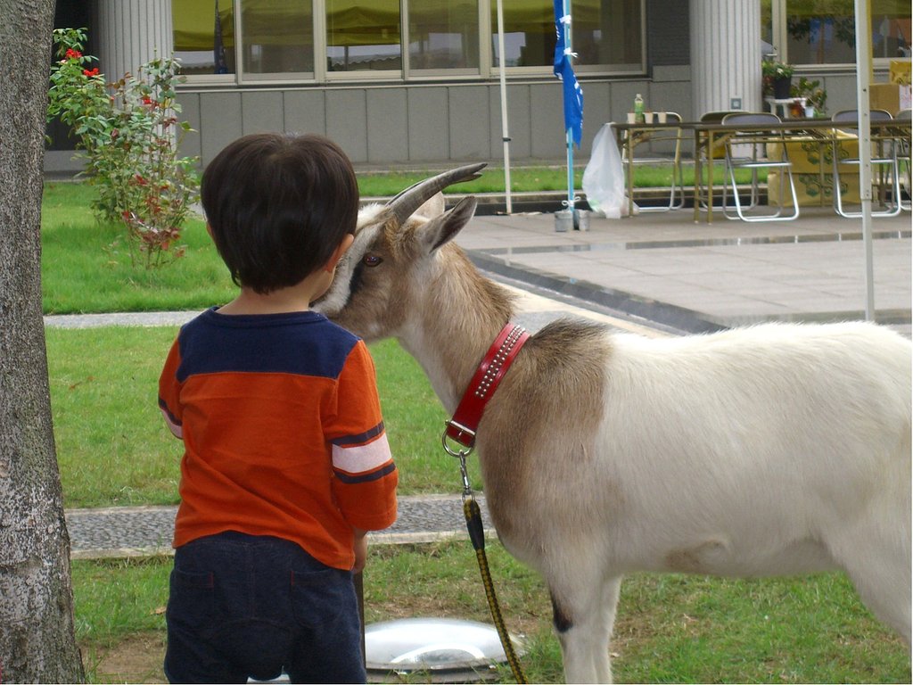 【睦】仲良くしようね