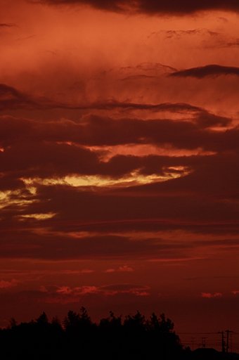 夕焼け
