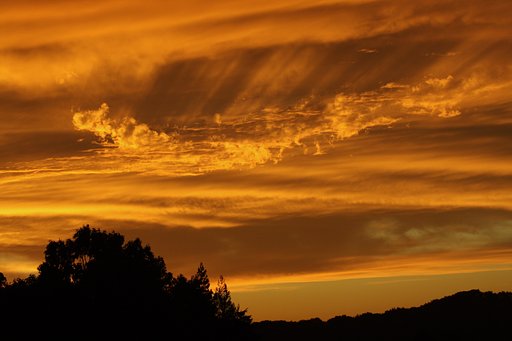 猛々しい夕焼け