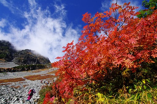 【空】＋雲＋紅葉