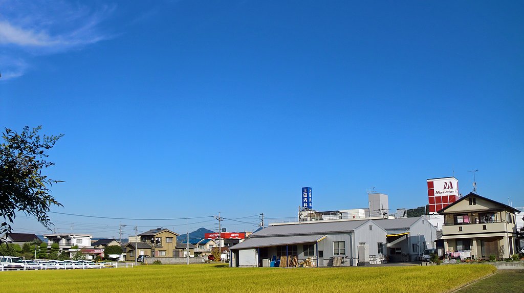 快晴だけど