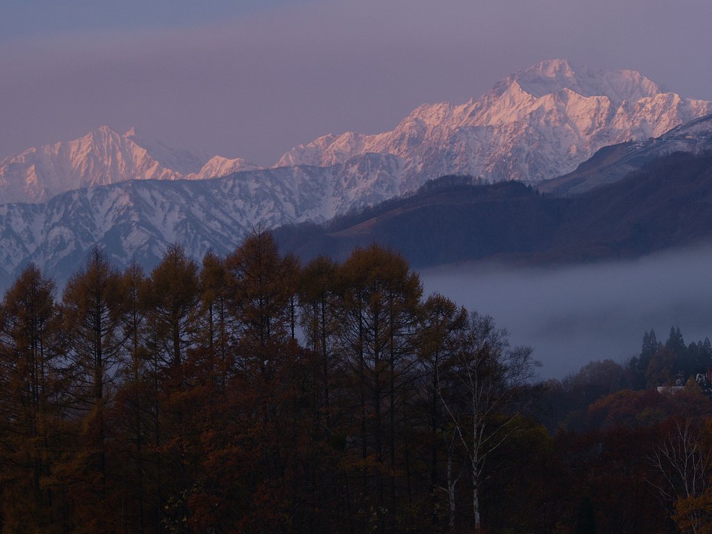 朝霧