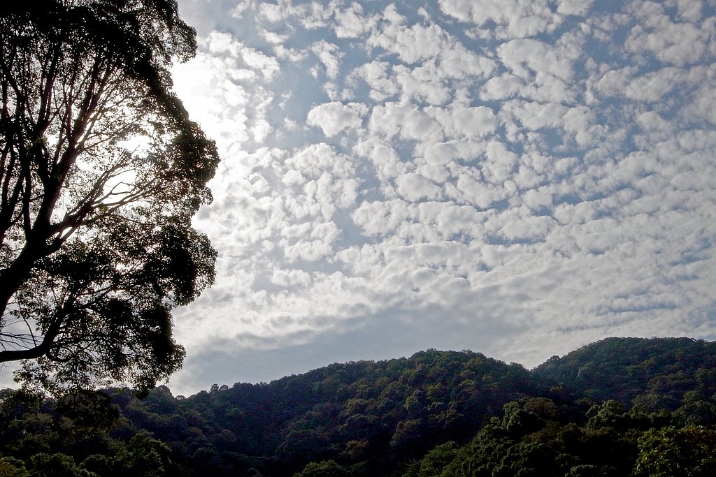 秋の空