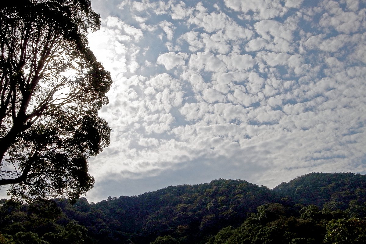 秋の空