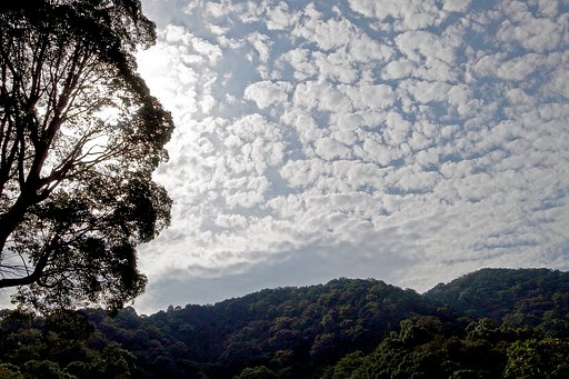 秋の空