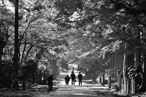 紅葉の参【道】