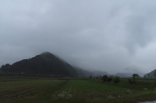 大雨の日!