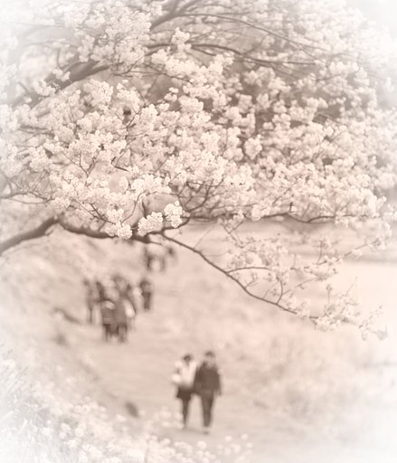ふたりの【道】