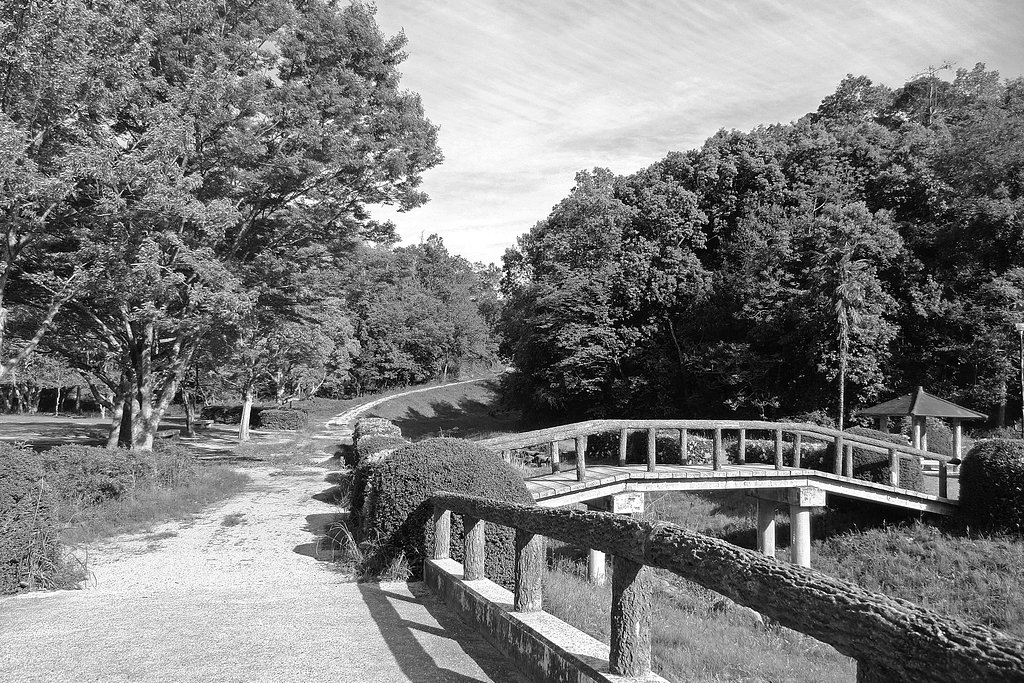 公園からの【道】
