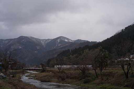 今朝も霧雨。