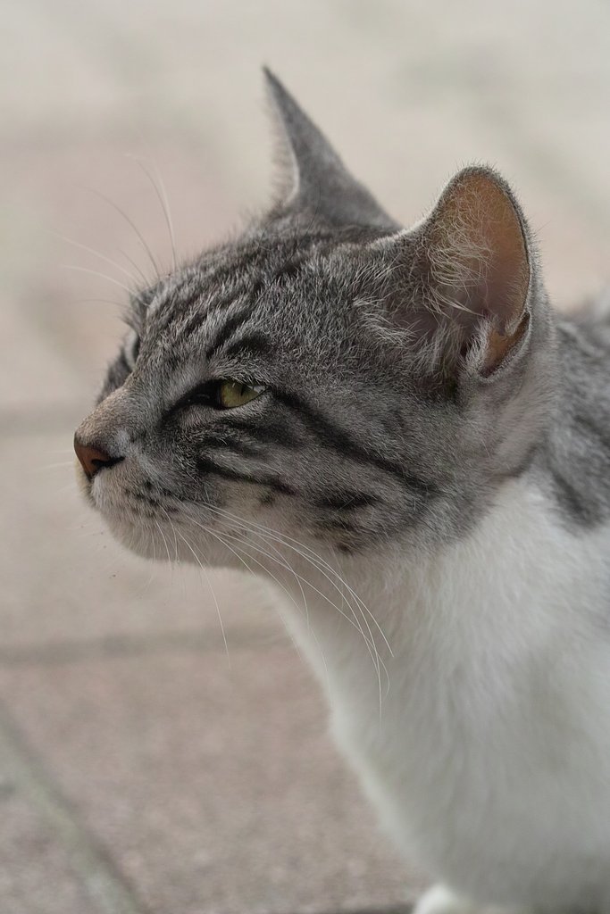 静かなのがいいな〜