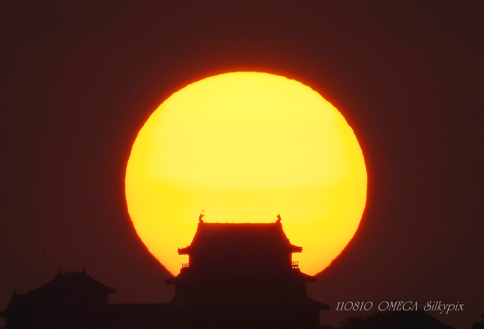 松山城と夕日　８・１０