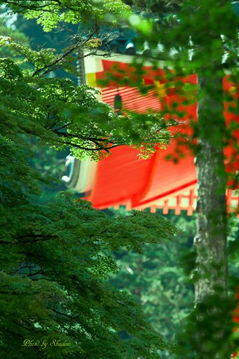 初秋の高野