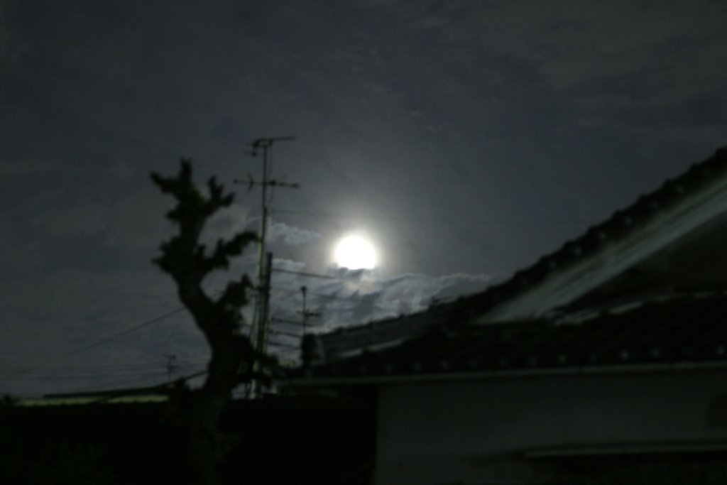 朧月夜